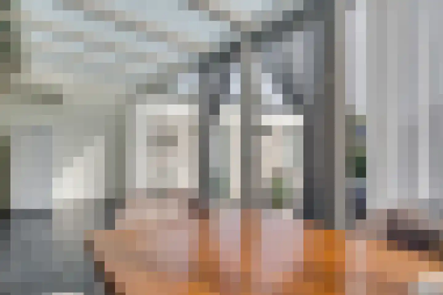 Terborgseweg 21 A Breedenbroek thumbnail 26