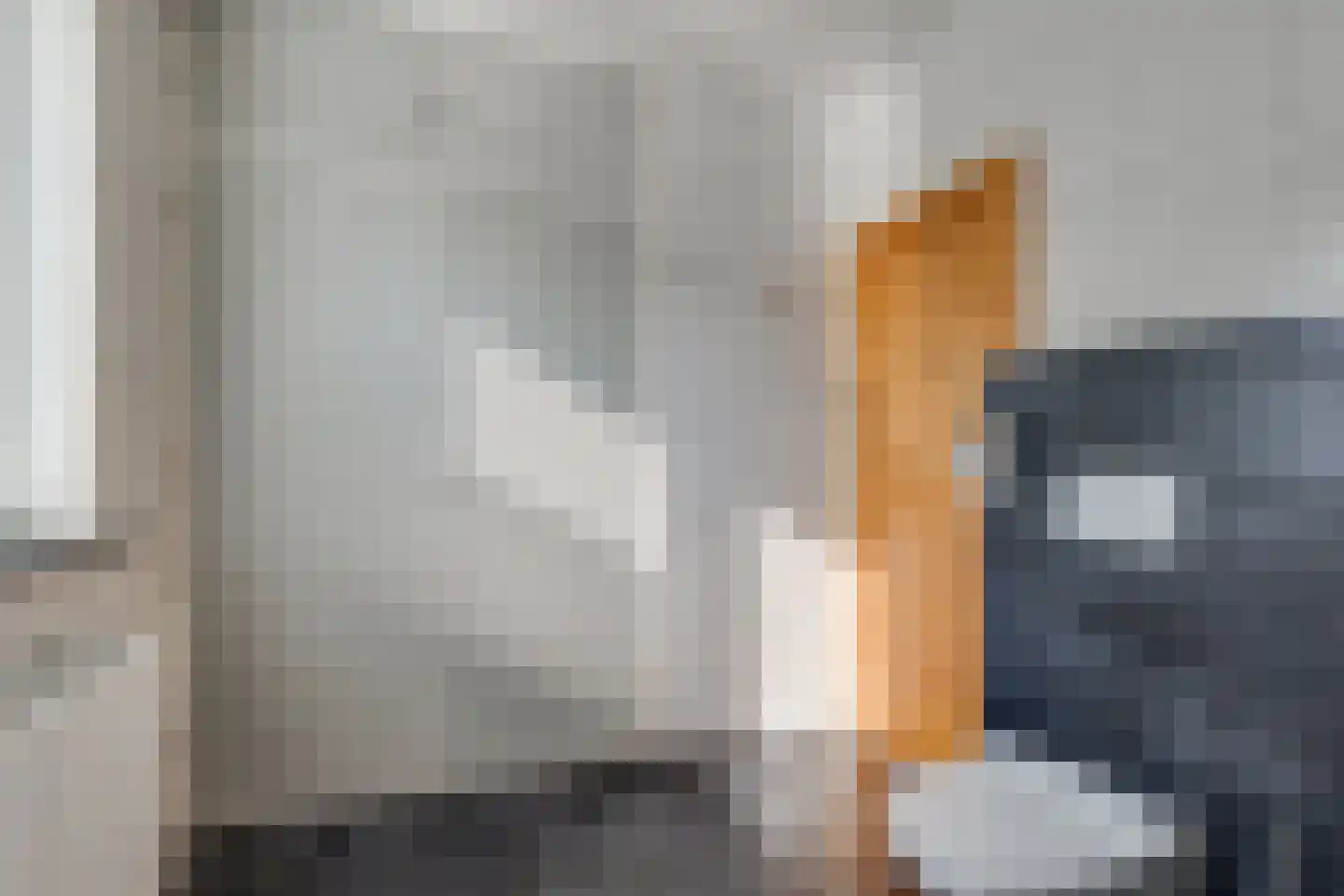 Terborgseweg 21 A Breedenbroek thumbnail 32