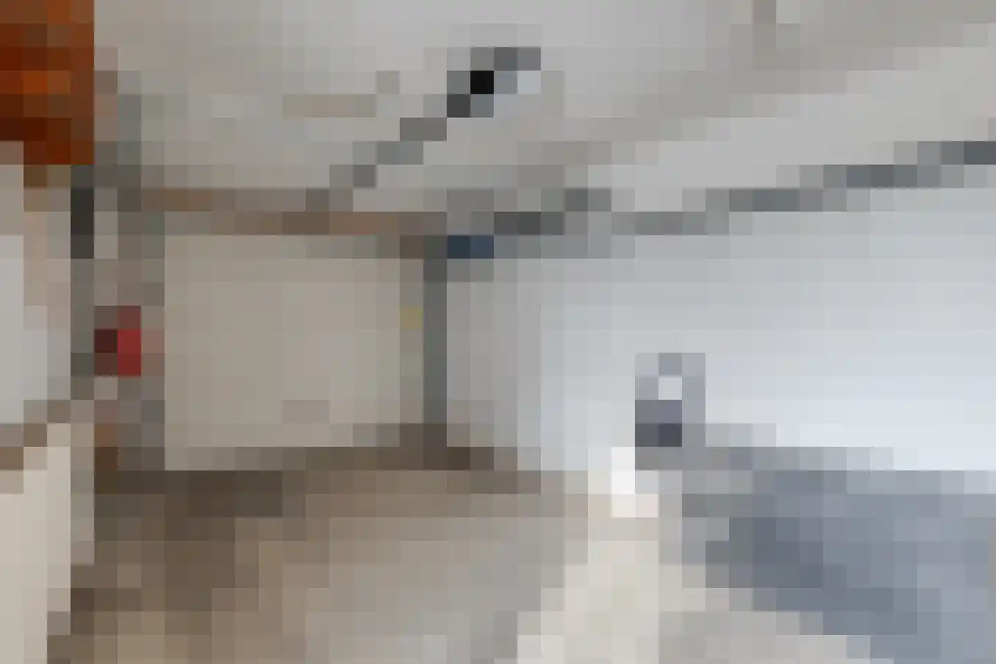 Terborgseweg 21 A Breedenbroek thumbnail 42