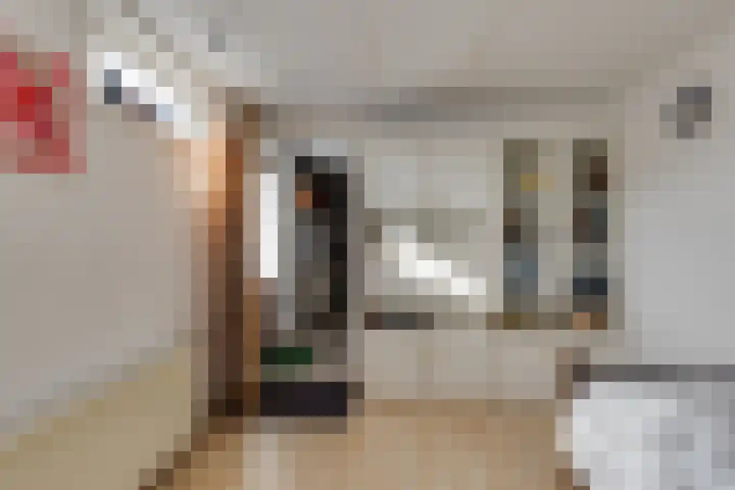 Terborgseweg 21 A Breedenbroek thumbnail 43
