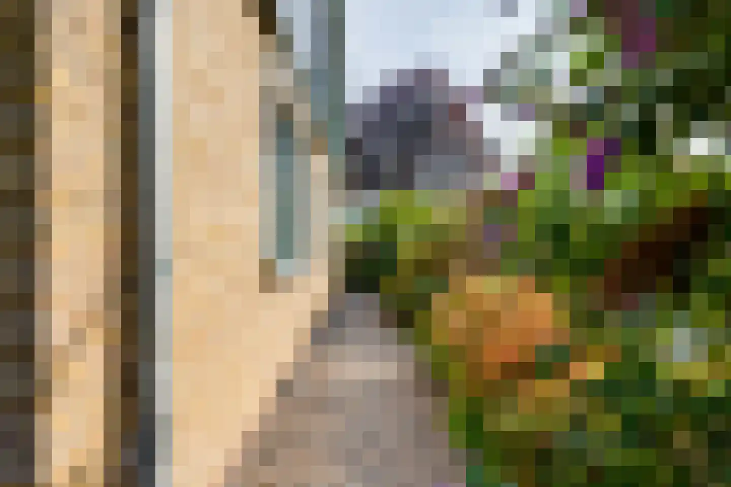 Terborgseweg 21 A Breedenbroek thumbnail 48
