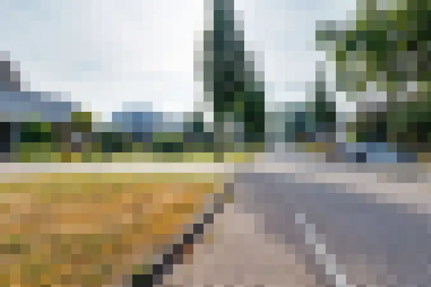 Terborgseweg 21 A Breedenbroek thumbnail 6