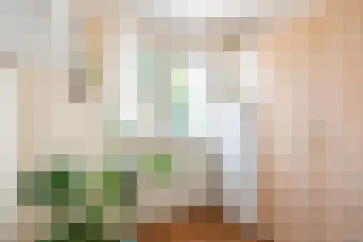 Terborgseweg 24 Dinxperlo thumbnail 31