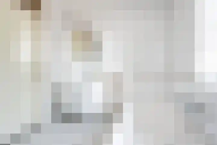Terborgseweg 24 Dinxperlo thumbnail 34
