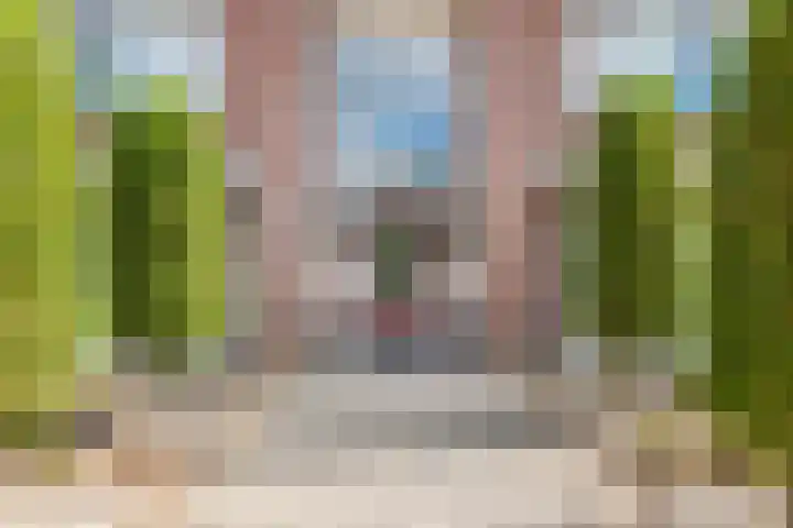 Terborgseweg 24 Dinxperlo thumbnail 7