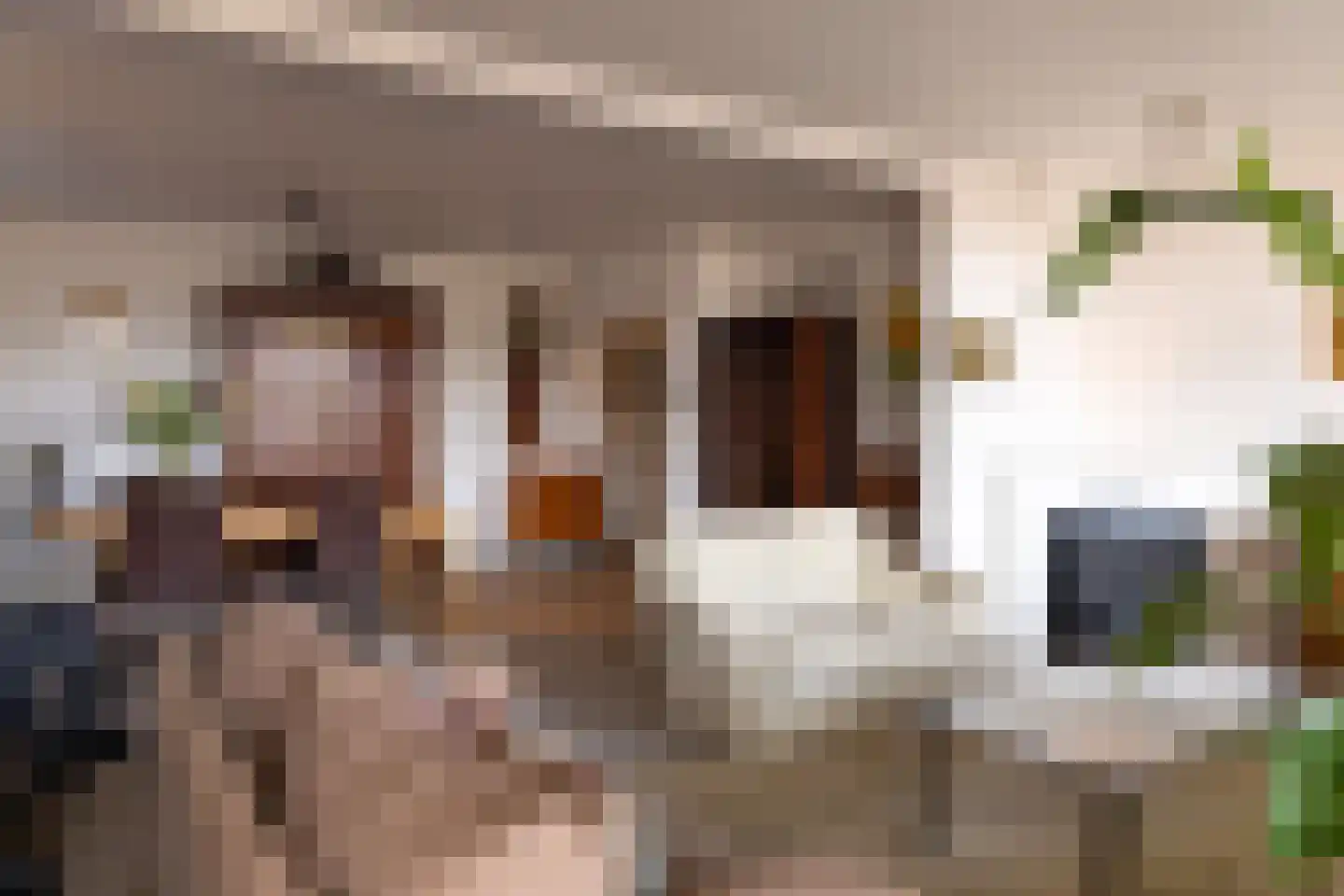 Terborgseweg 25 Silvolde thumbnail 10