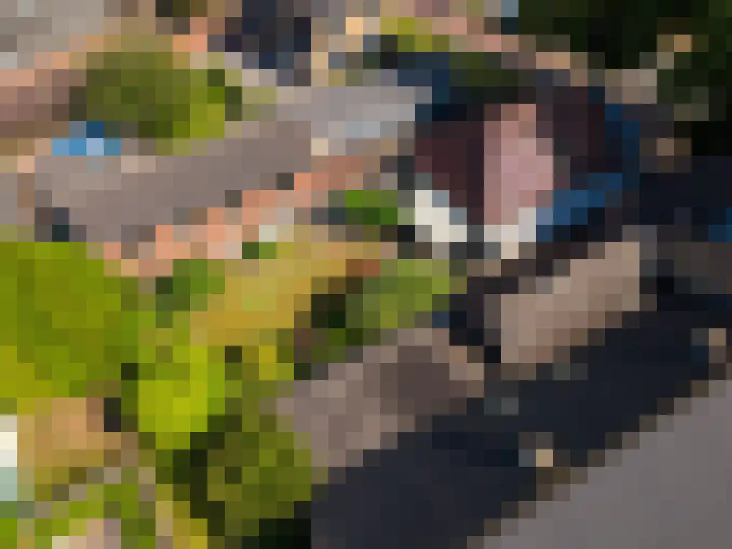 Terborgseweg 25 Silvolde thumbnail 33