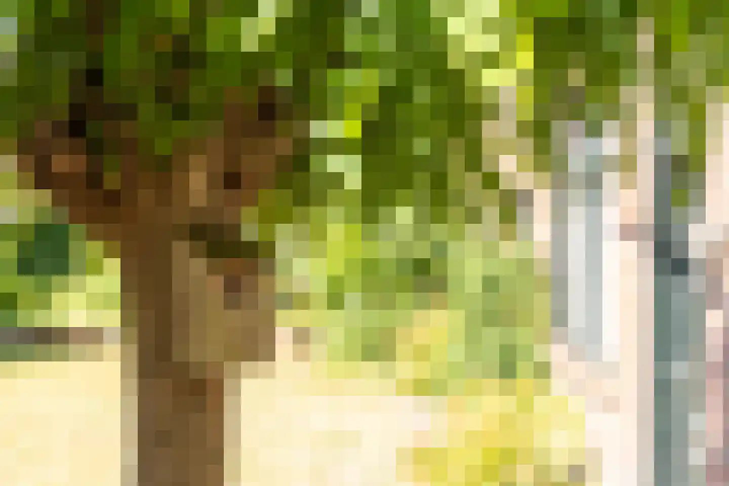 Terborgseweg 25 Silvolde thumbnail 34