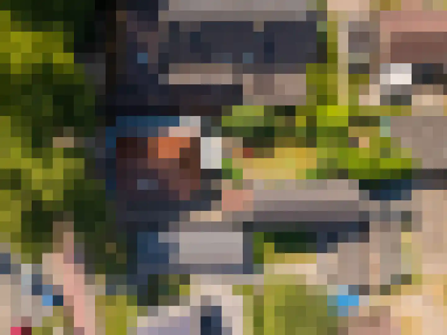 Terborgseweg 25 Silvolde thumbnail 46