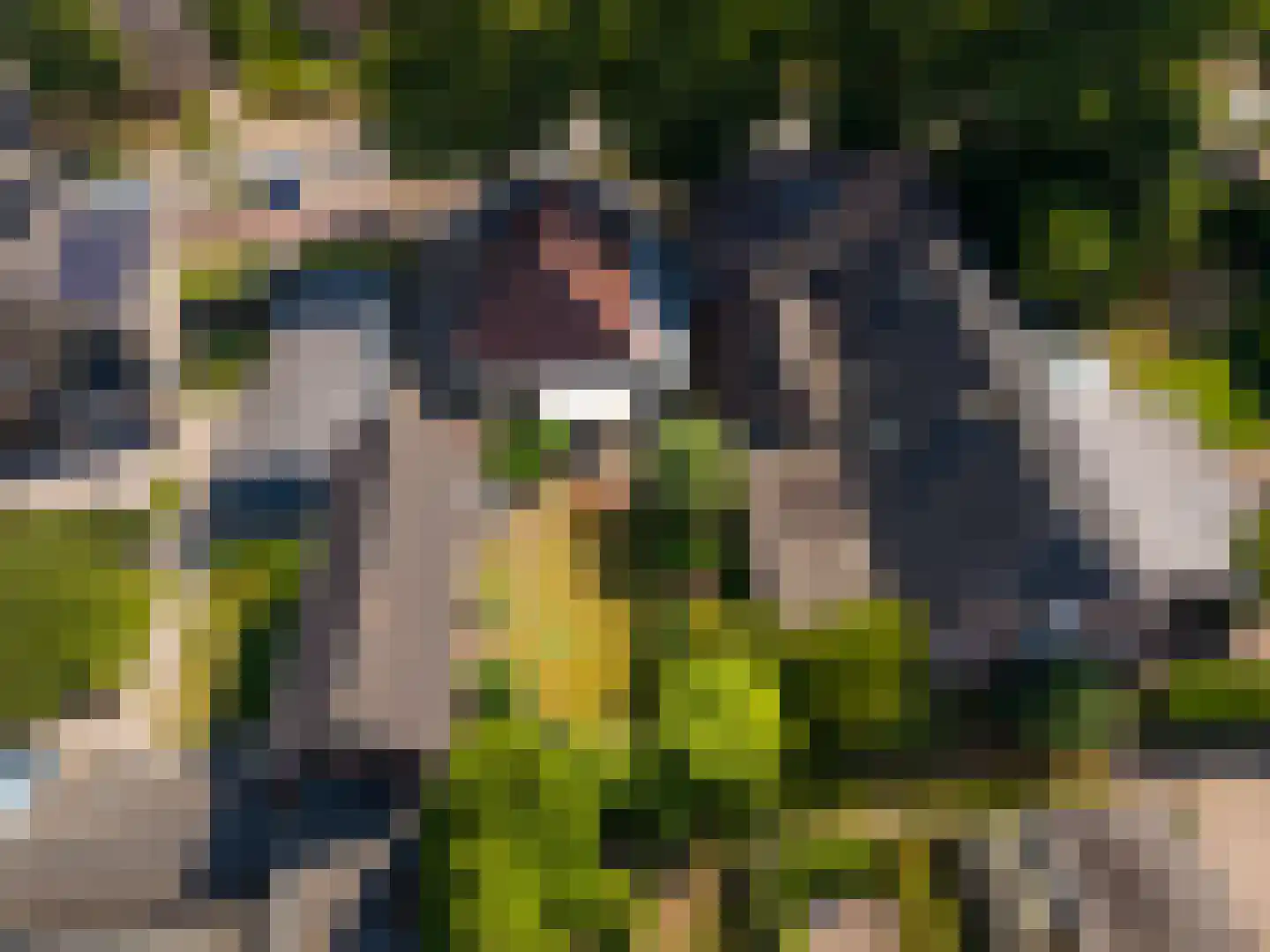 Terborgseweg 25 Silvolde thumbnail 47