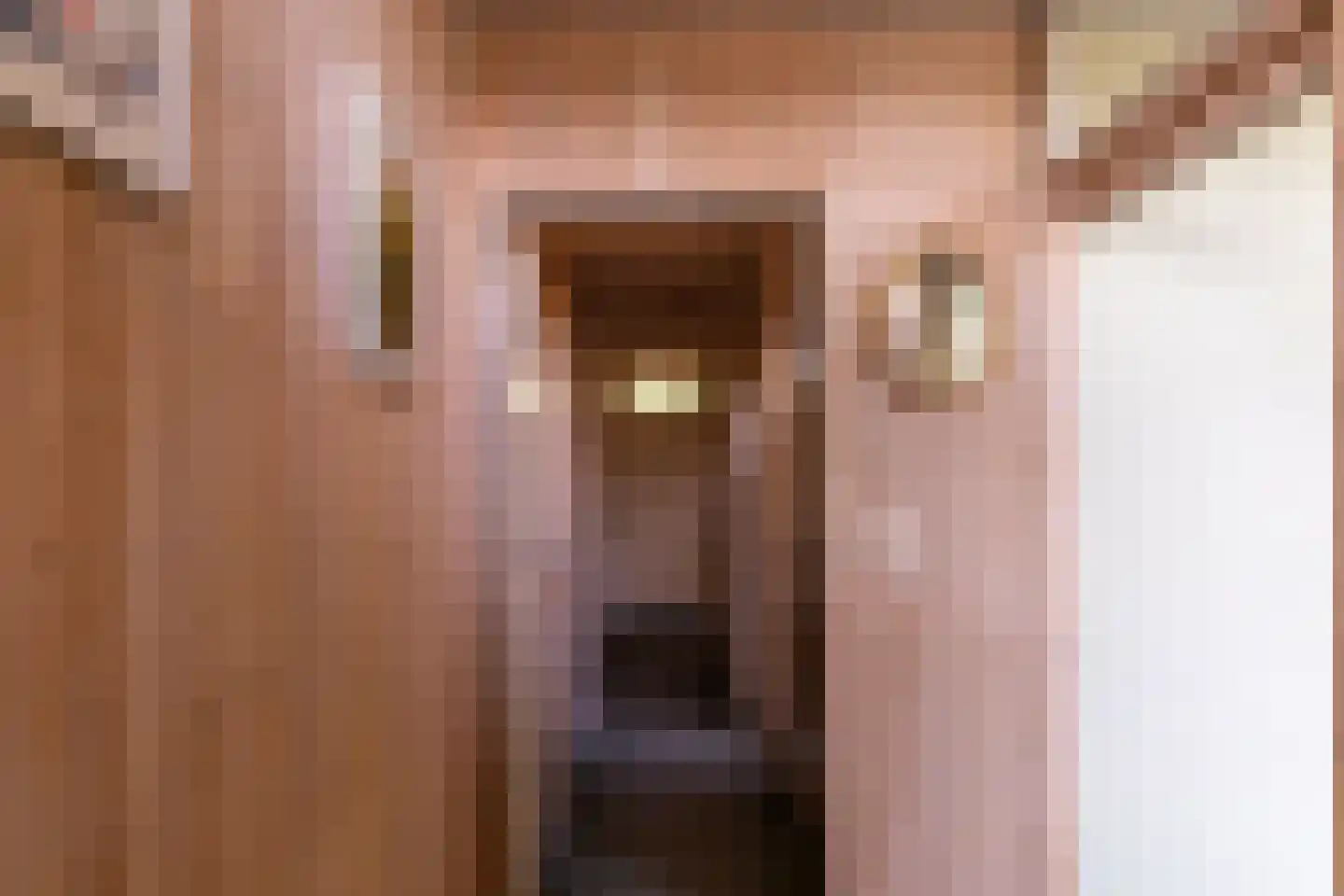 Terborgseweg 25 Silvolde thumbnail 6