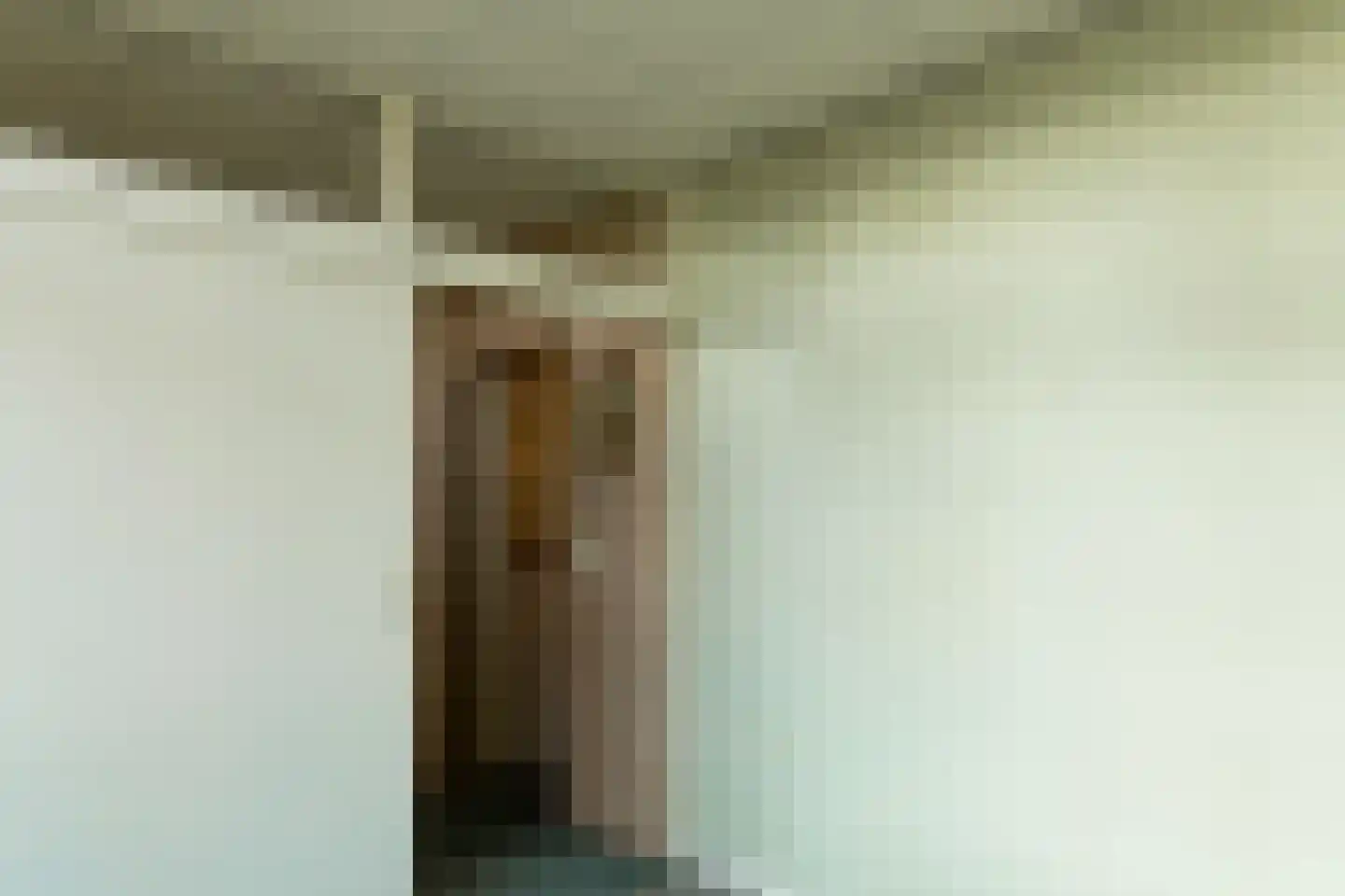 Terborgseweg 25 Silvolde thumbnail 7