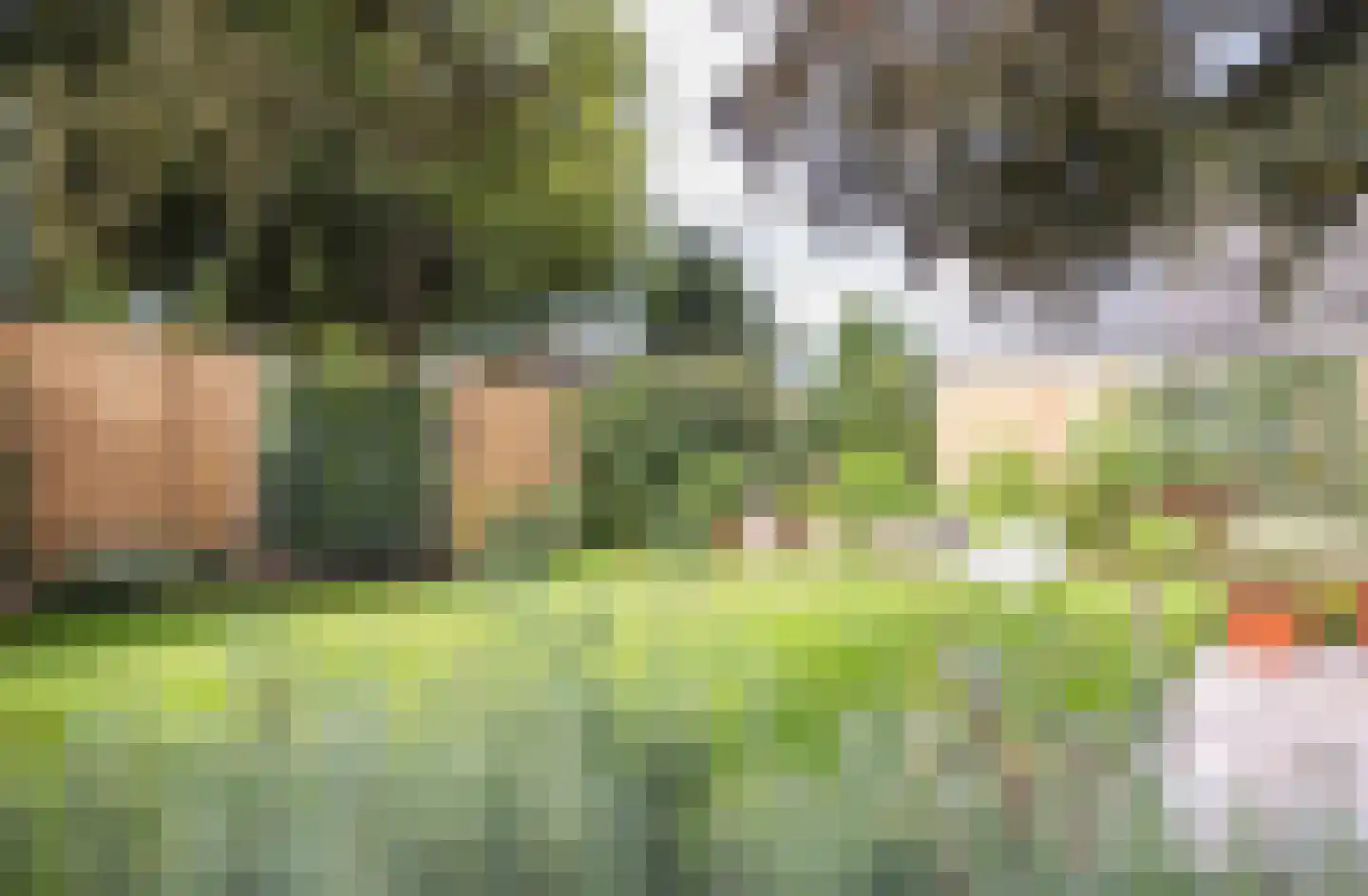 Terborgseweg 34 A Breedenbroek thumbnail 28