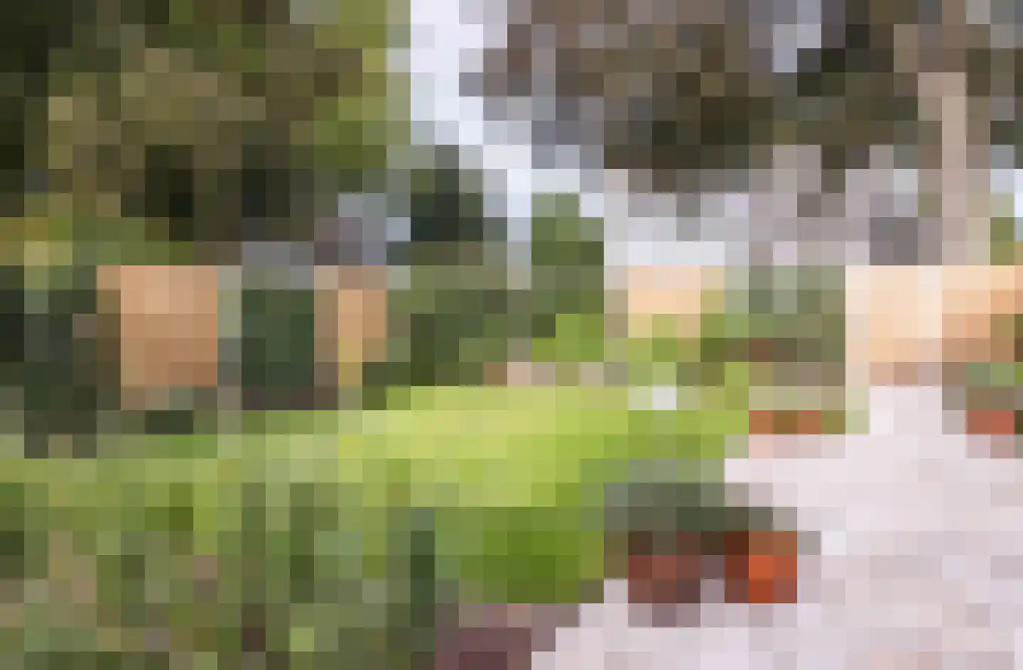 Terborgseweg 34 A Breedenbroek thumbnail 29