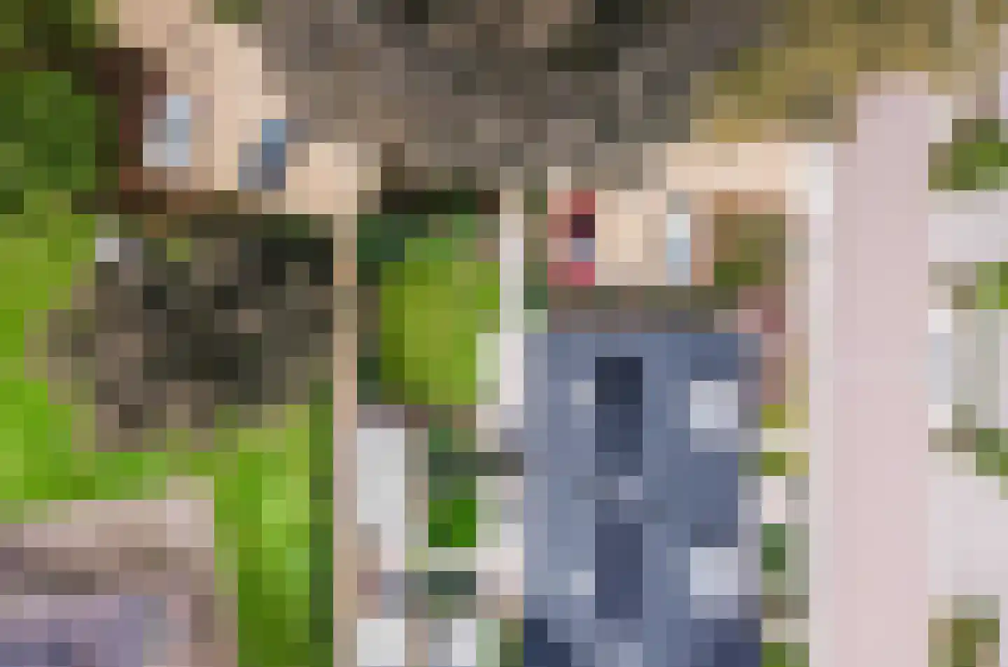 Terborgseweg 34 A Breedenbroek thumbnail 30