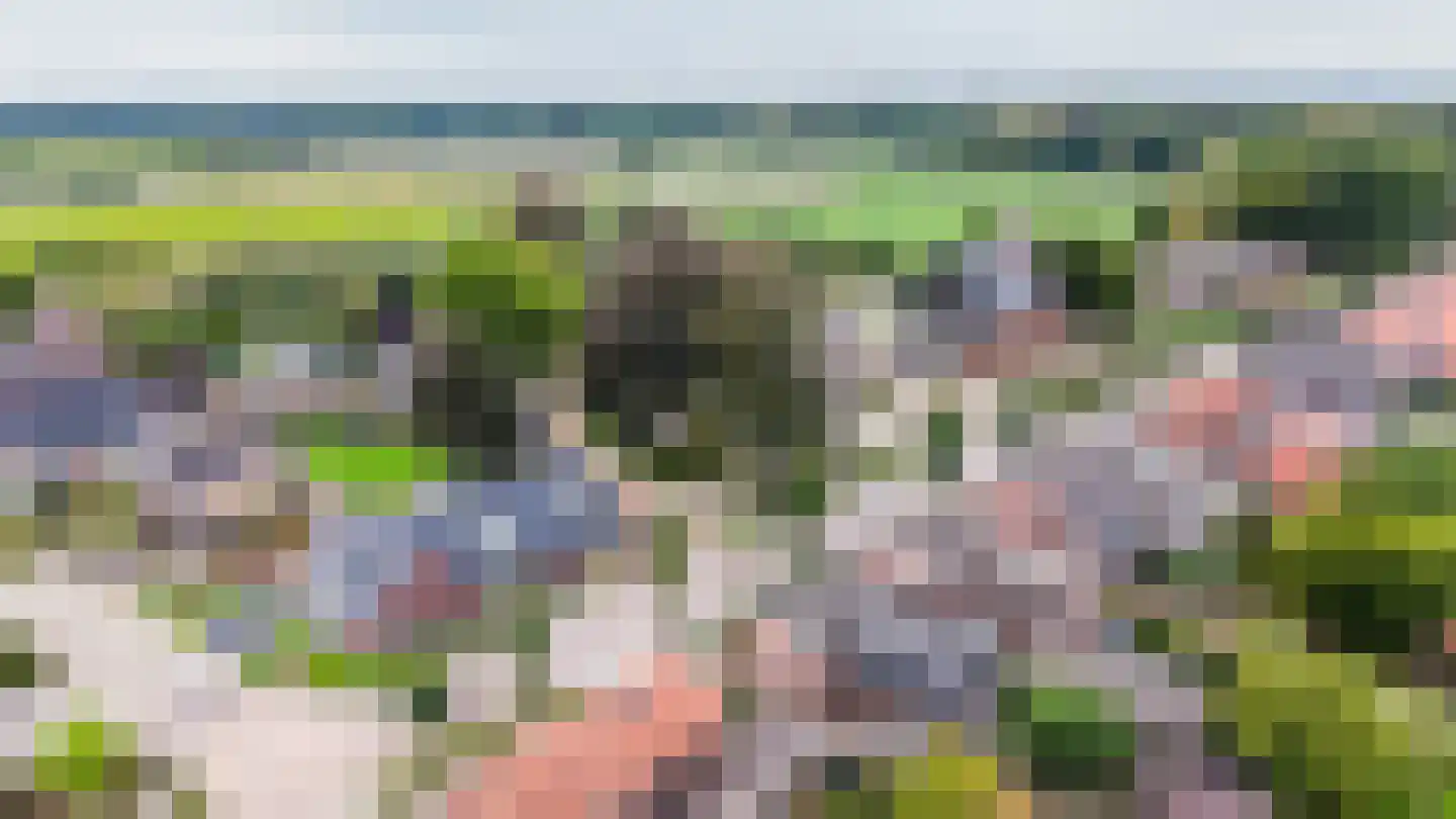 Terborgseweg 34 A Breedenbroek thumbnail 31