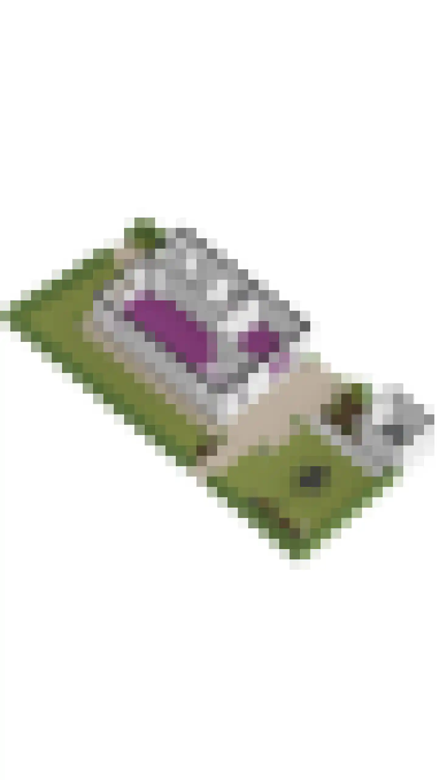 Terborgseweg 34 A Breedenbroek thumbnail 39