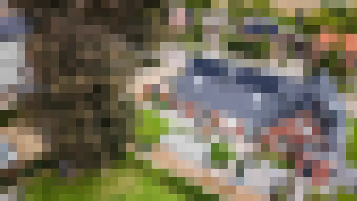 Terborgseweg 34 A Breedenbroek thumbnail 4