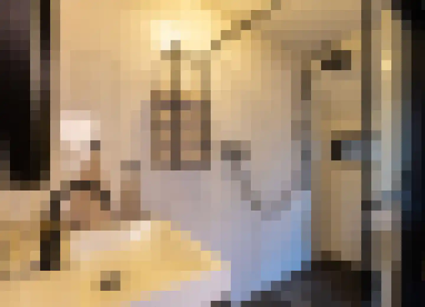 Terborgseweg 42 Dinxperlo thumbnail 15
