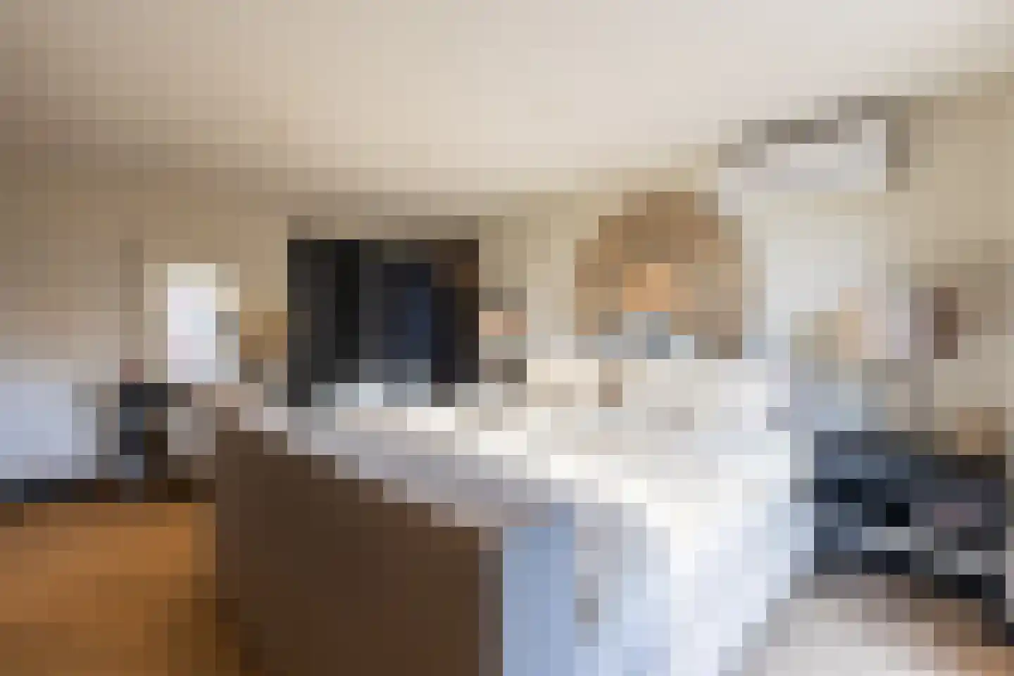 Terborgseweg 42 Dinxperlo thumbnail 16