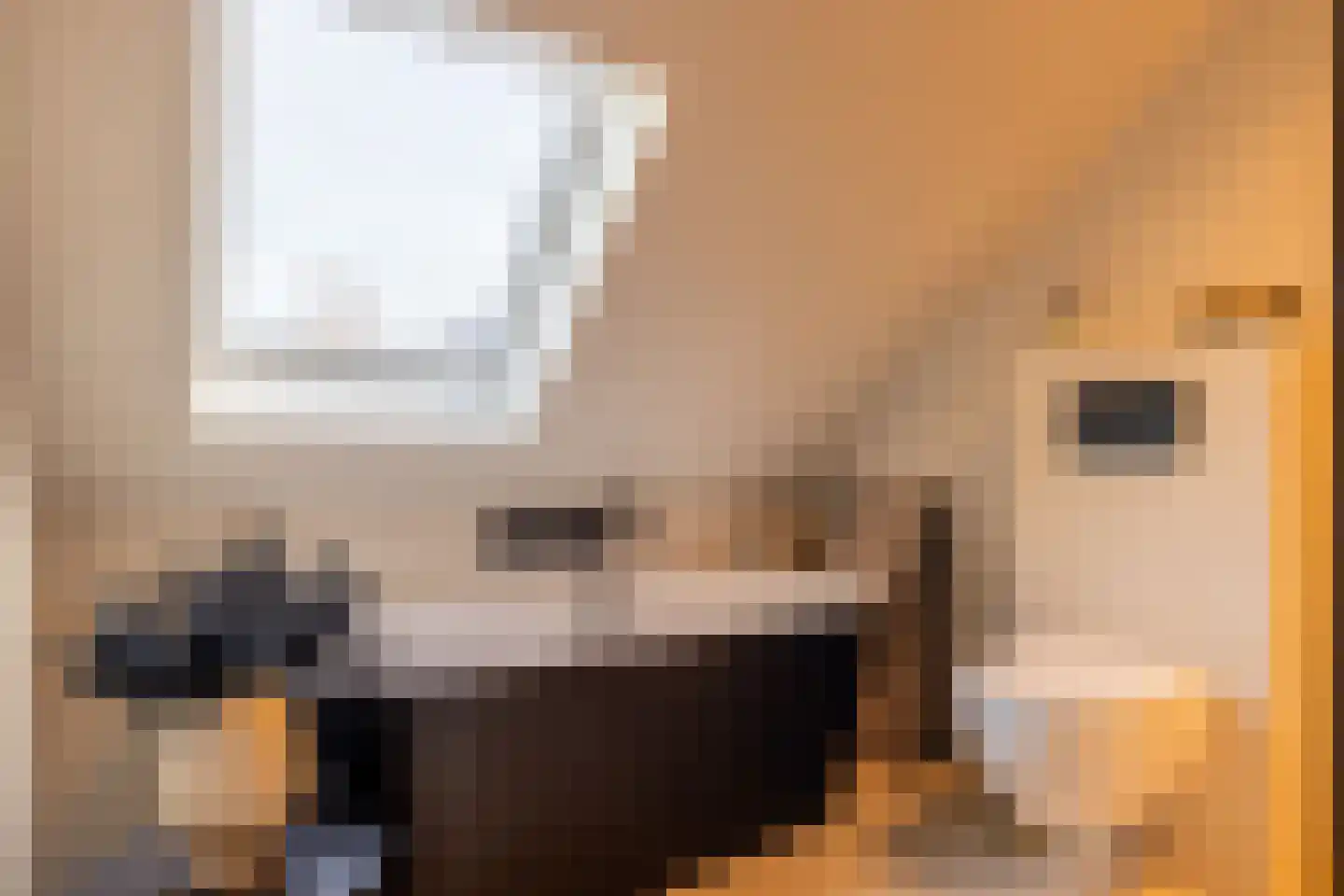 Terborgseweg 42 Dinxperlo thumbnail 17