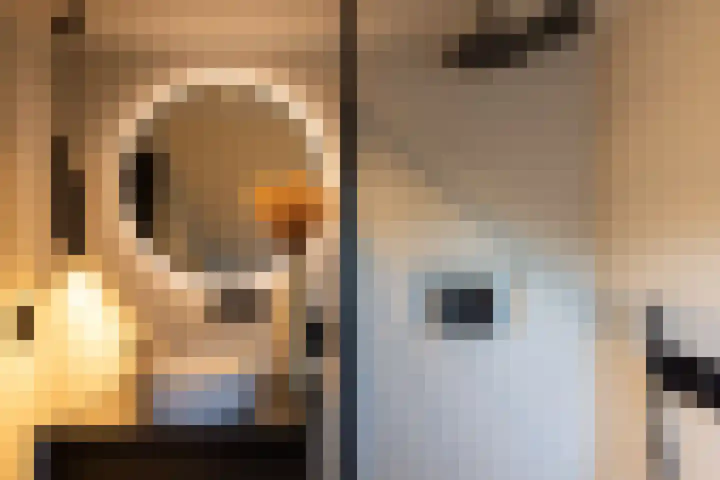 Terborgseweg 42 Dinxperlo thumbnail 18