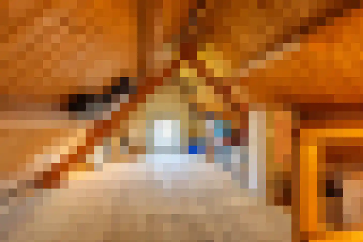 Terborgseweg 42 Dinxperlo thumbnail 20