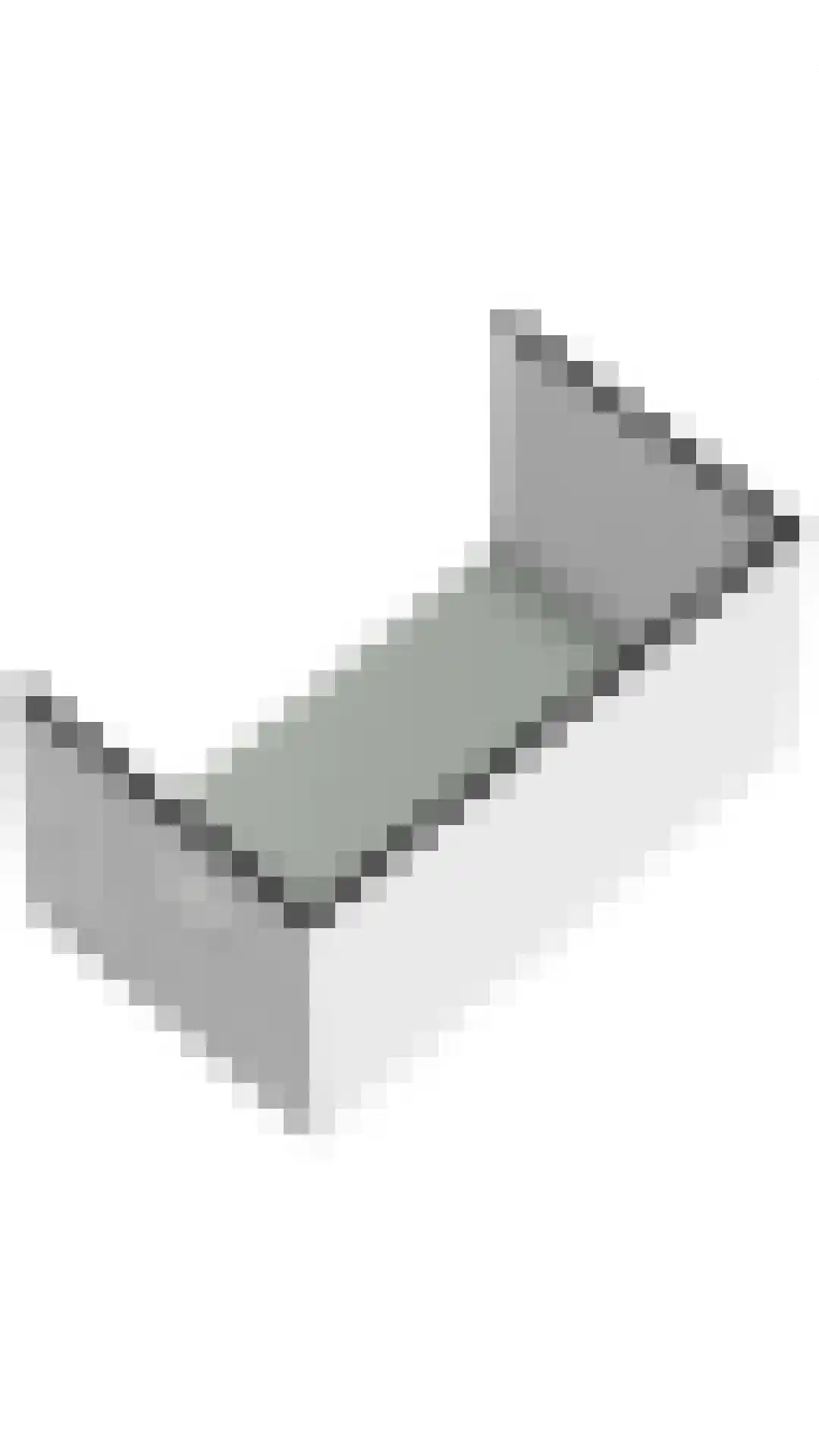 Terborgseweg 42 Dinxperlo thumbnail 43