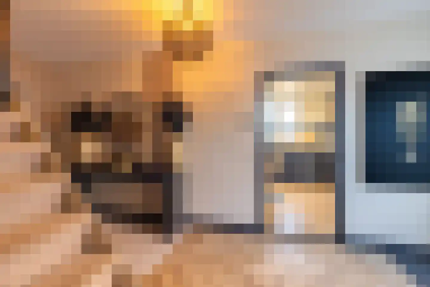 Terborgseweg 42 Dinxperlo thumbnail 5