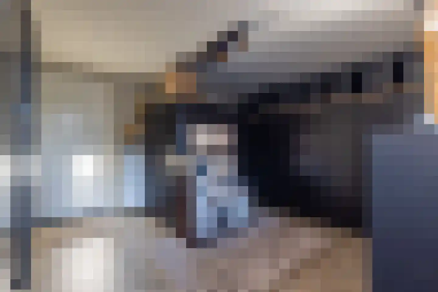 Terborgseweg 42 Dinxperlo thumbnail 9