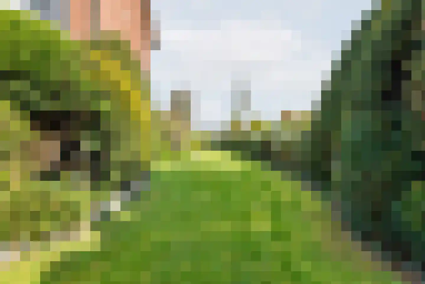 Terborgseweg 46 Breedenbroek thumbnail 37