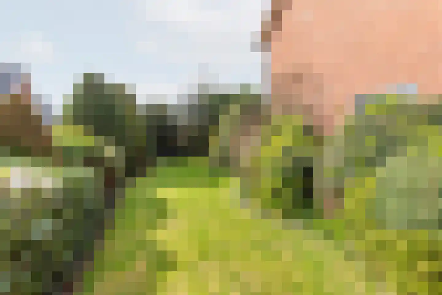 Terborgseweg 46 Breedenbroek thumbnail 38