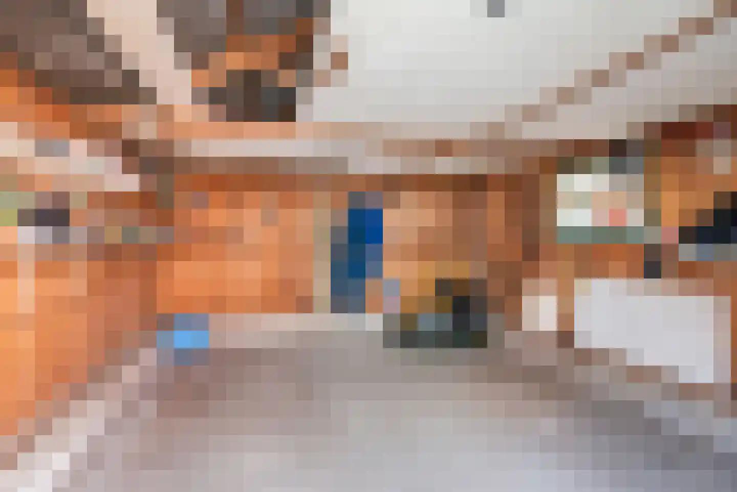 Terborgseweg 46 Breedenbroek thumbnail 43