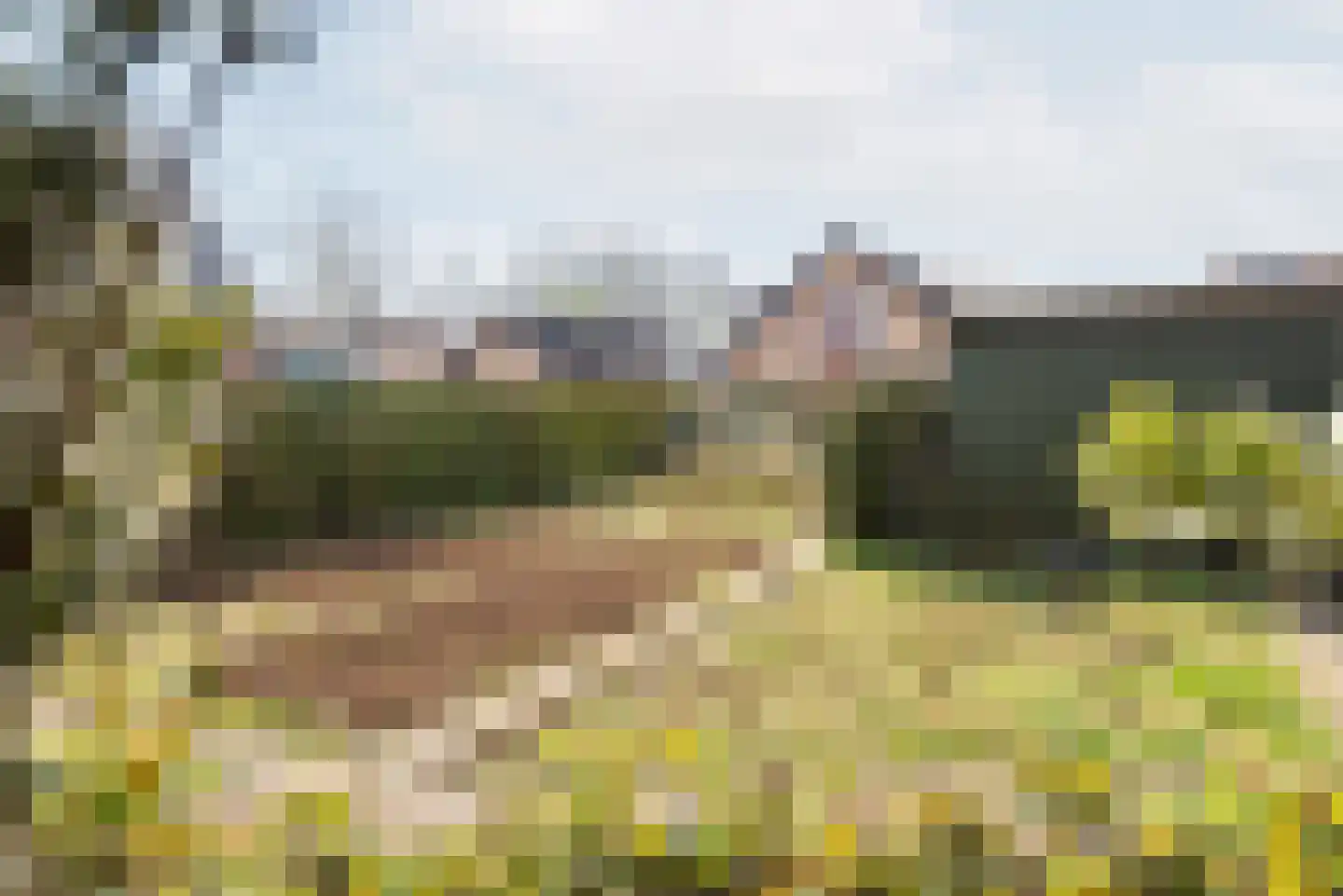 Terborgseweg 46 Breedenbroek thumbnail 45