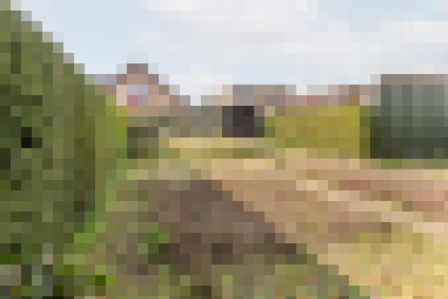 Terborgseweg 46 Breedenbroek thumbnail 46