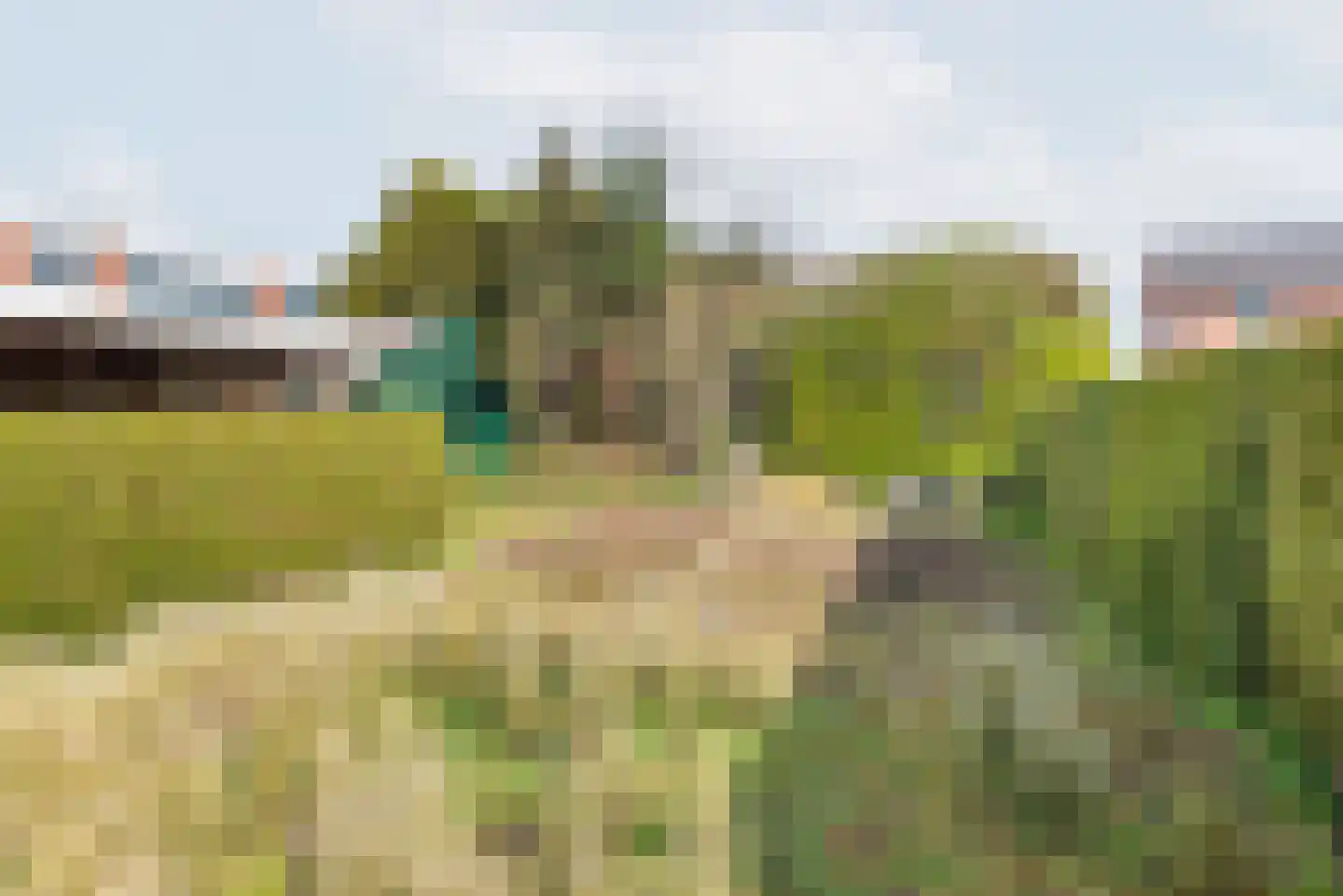 Terborgseweg 46 Breedenbroek thumbnail 48