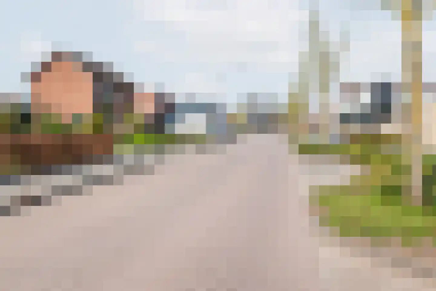 Terborgseweg 46 Breedenbroek thumbnail 51