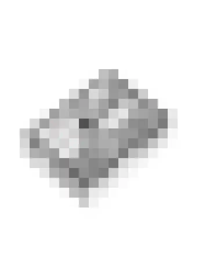 Terborgseweg 46 Breedenbroek thumbnail 60