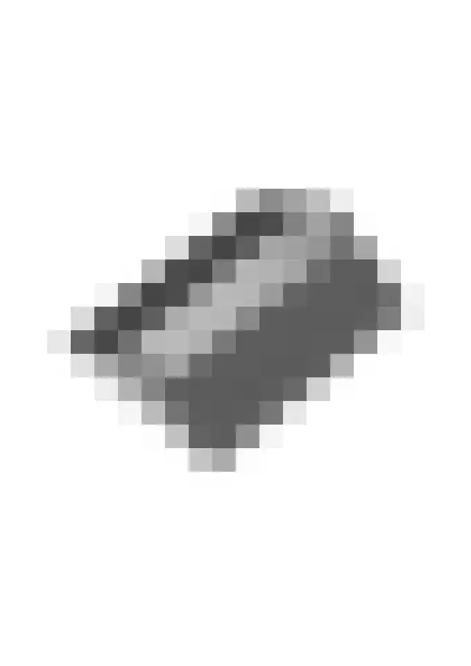 Terborgseweg 46 Breedenbroek thumbnail 61