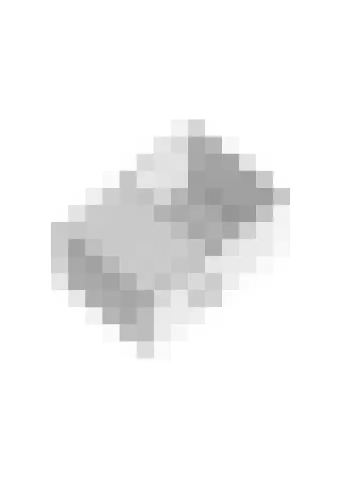 Terborgseweg 46 Breedenbroek thumbnail 62