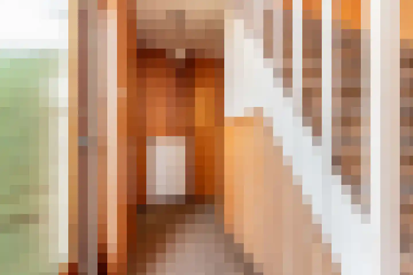 Terborgseweg 46 Breedenbroek thumbnail 7