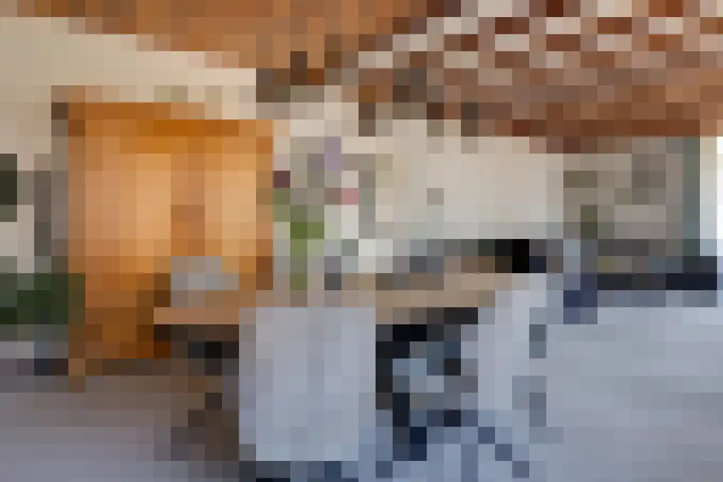 Terborgseweg 5 Silvolde thumbnail 12