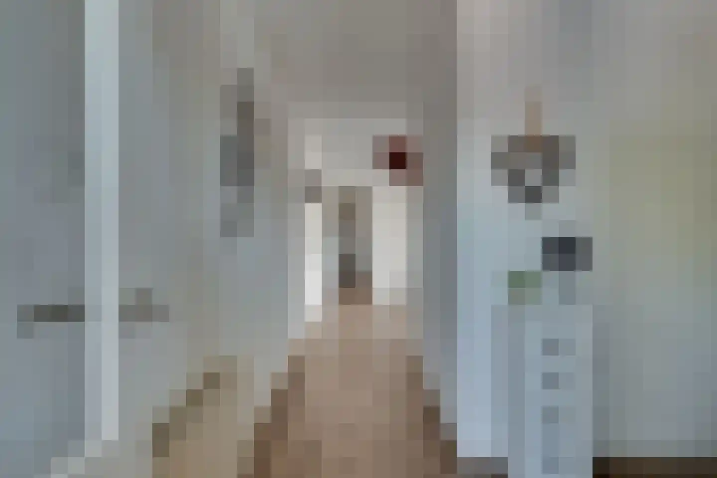 Terborgseweg 5 Silvolde thumbnail 17