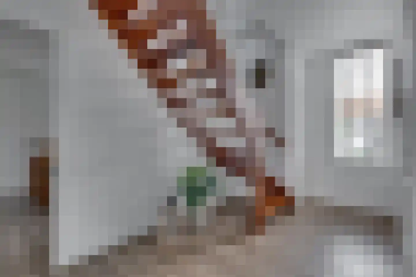 Terborgseweg 5 Silvolde thumbnail 18
