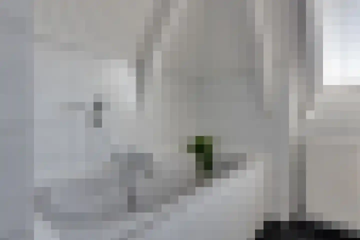 Terborgseweg 5 Silvolde thumbnail 29