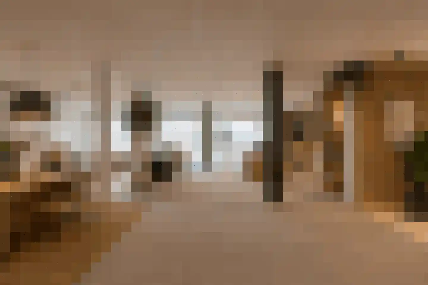 Terborgseweg 5 Silvolde foto 3