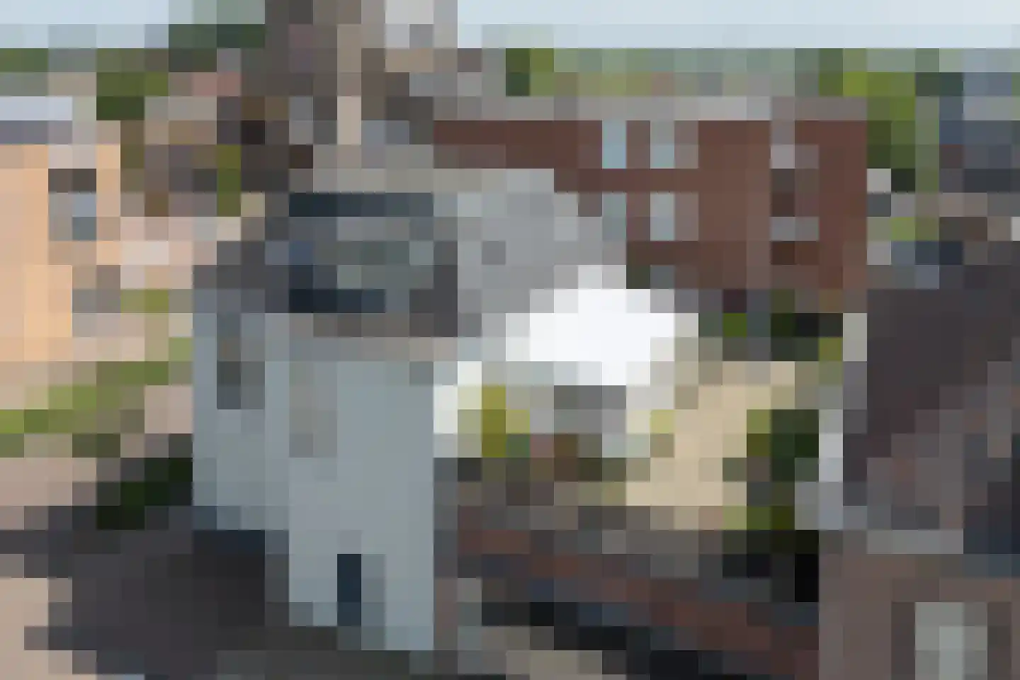 Terborgseweg 5 Silvolde thumbnail 35