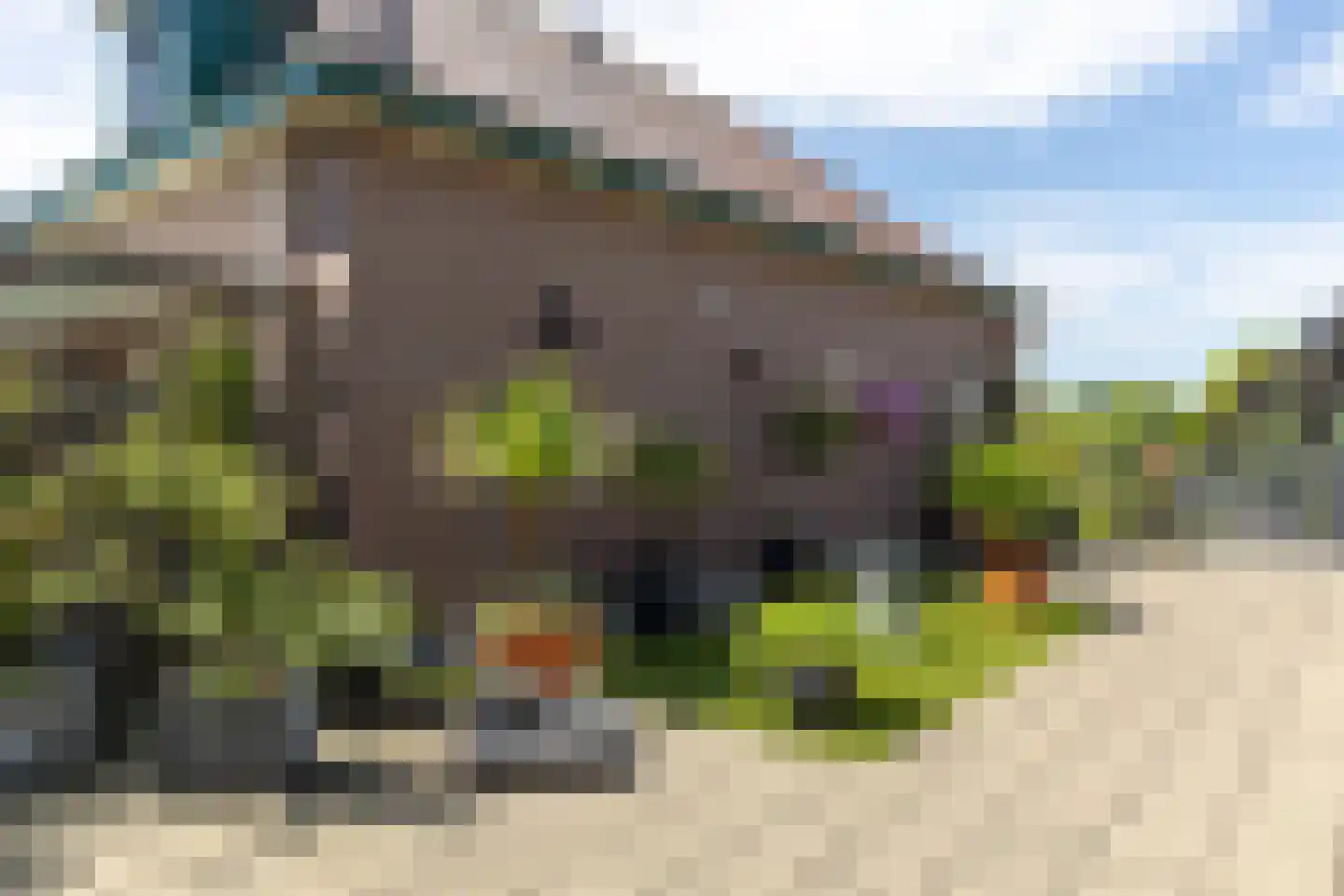 Terborgseweg 5 Silvolde thumbnail 38