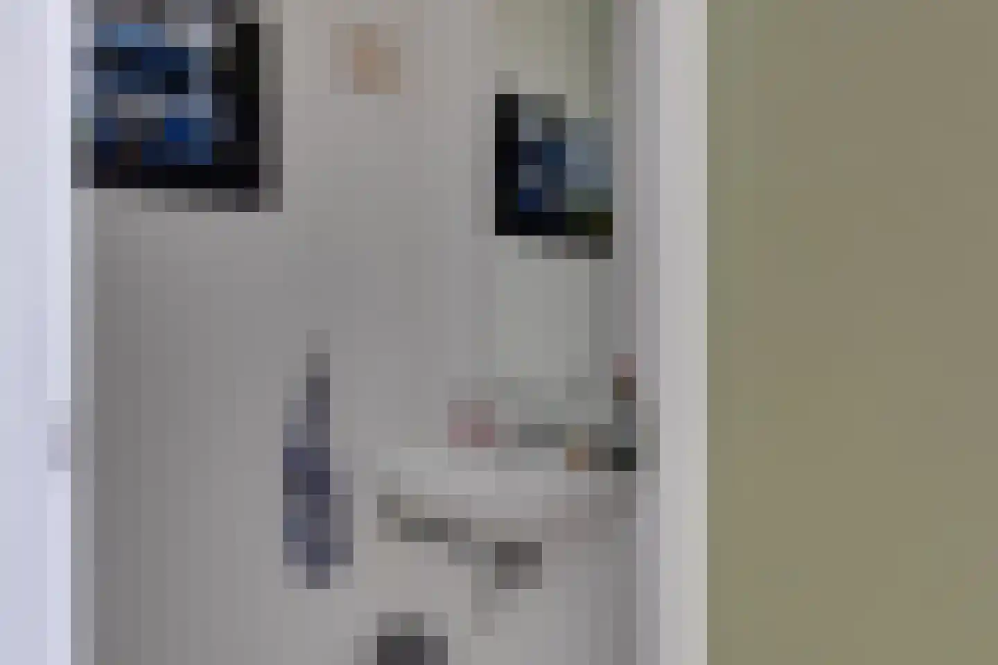 Terborgseweg 5 Silvolde thumbnail 44
