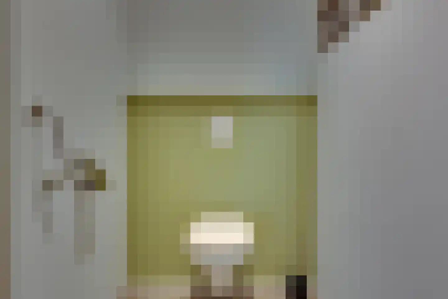 Terborgseweg 5 Silvolde thumbnail 45